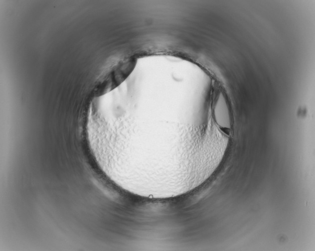 X0000091530065200709141444