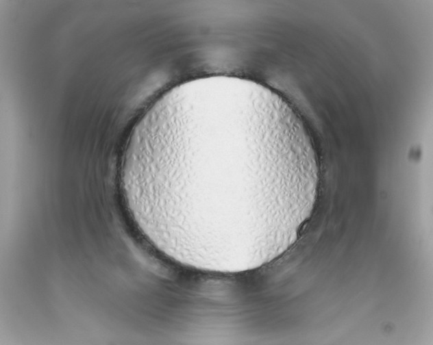 X0000091530066200709141444