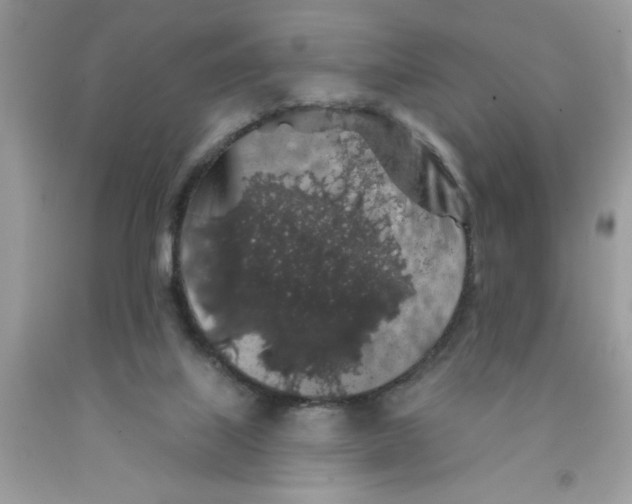 X0000091530067200709141444