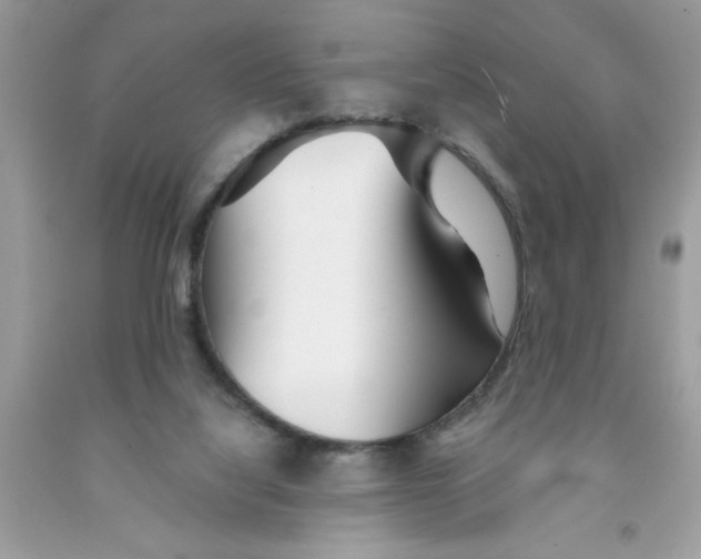 X0000091530068200709141444