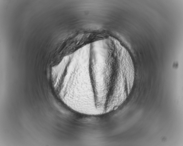 X0000091530069200709141444