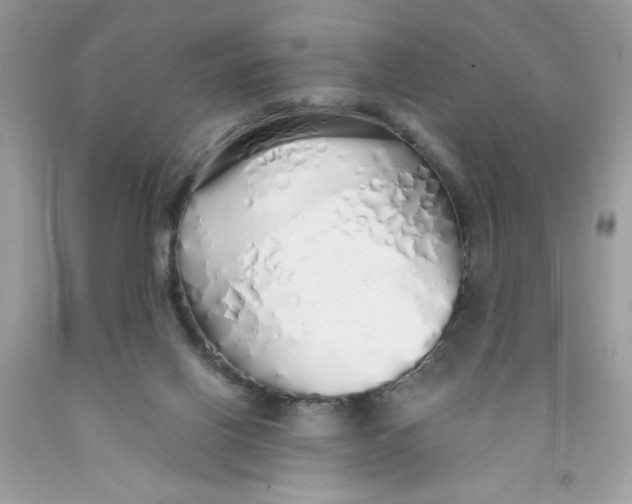 X0000091530070200709141444