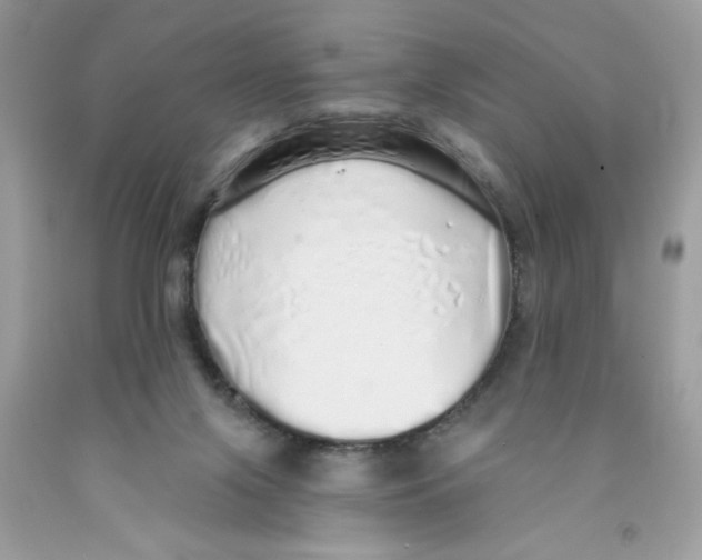 X0000091530071200709141444