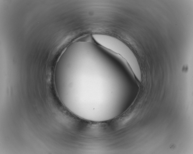 X0000091530072200709141444