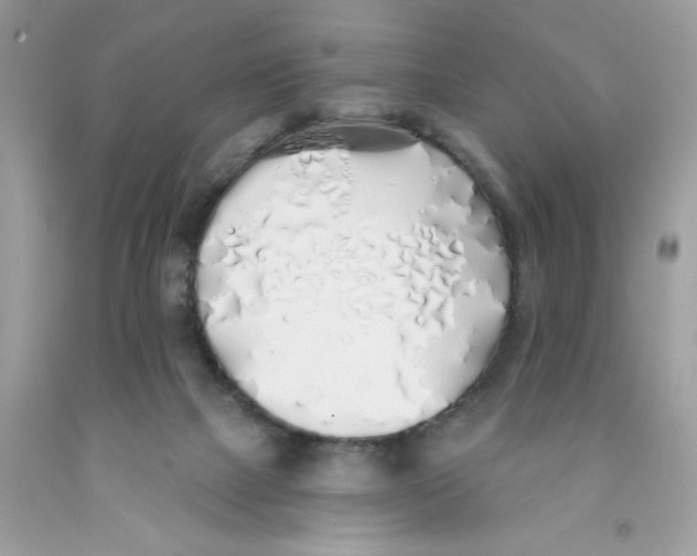 X0000091530073200709141444