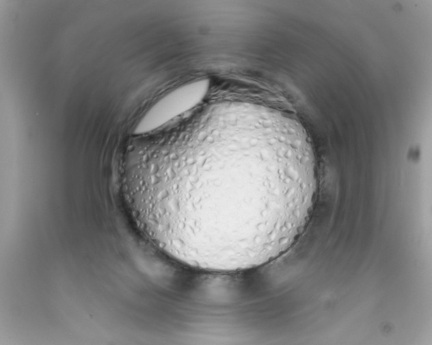 X0000091530074200709141444