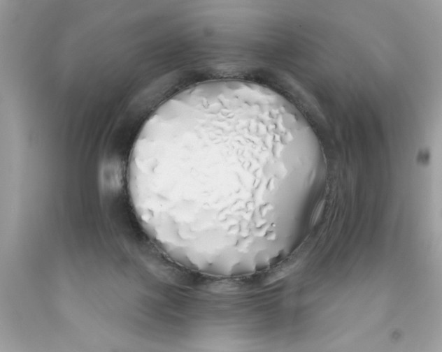 X0000091530075200709141444