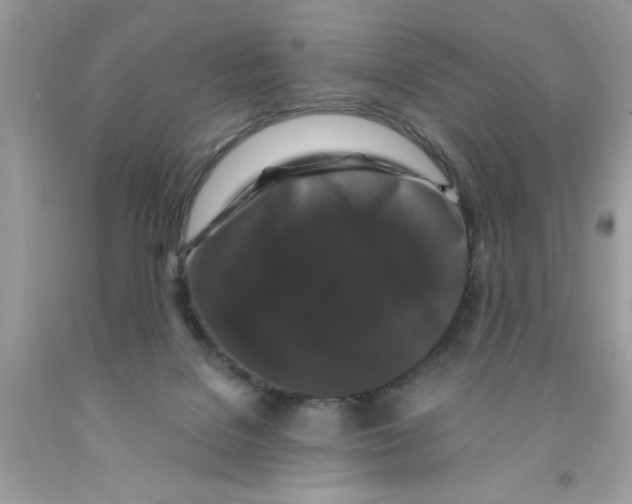 X0000091530076200709141444