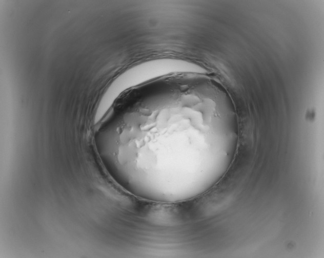 X0000091530077200709141444
