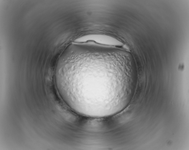 X0000091530078200709141444