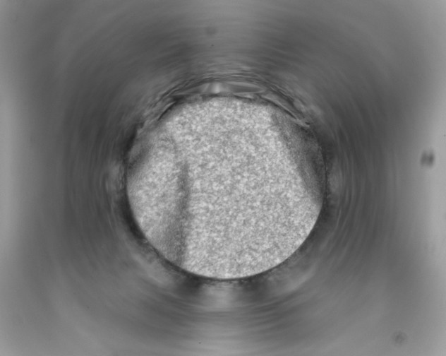 X0000091530079200709141444