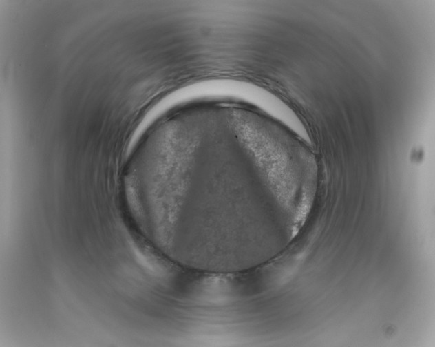 X0000091530080200709141444