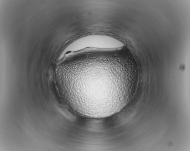 X0000091530081200709141444