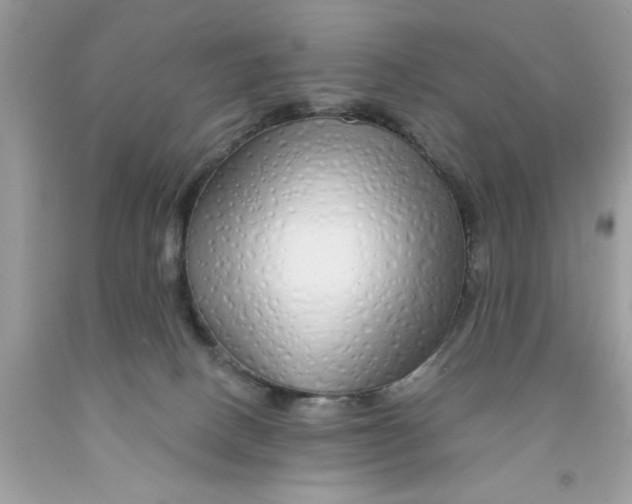 X0000091530082200709141444