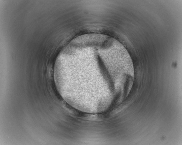 X0000091530083200709141444