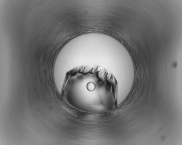 X0000091530084200709141444