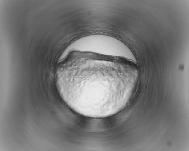 X0000091530085200709141444