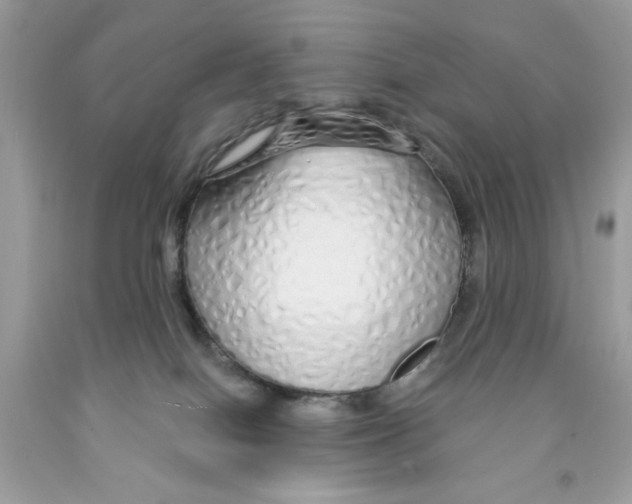 X0000091530086200709141444
