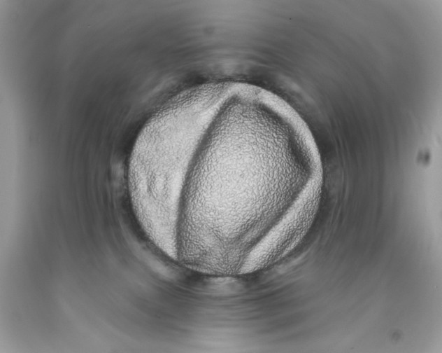 X0000091530087200709141444