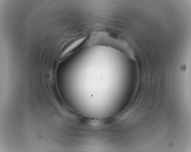 X0000091530088200709141444