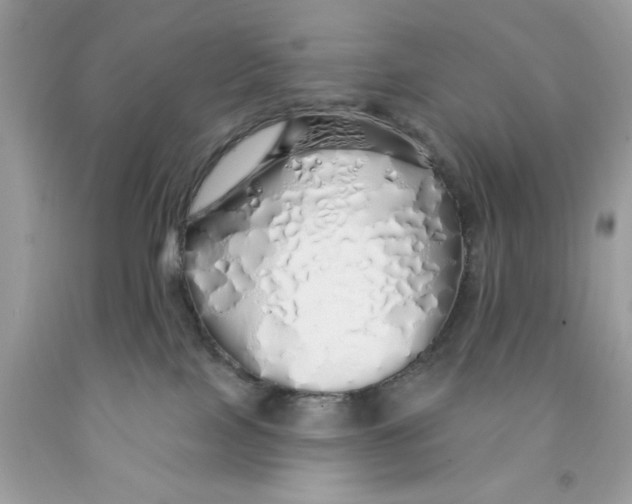 X0000091530089200709141444