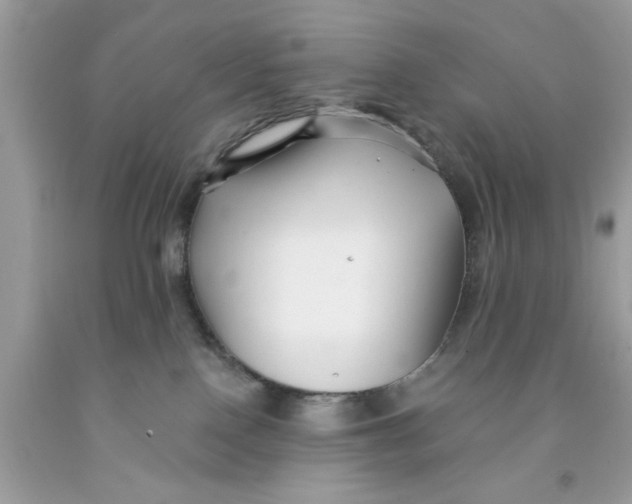 X0000091530090200709141444