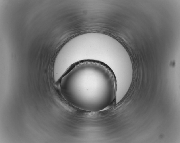 X0000091530092200709141444