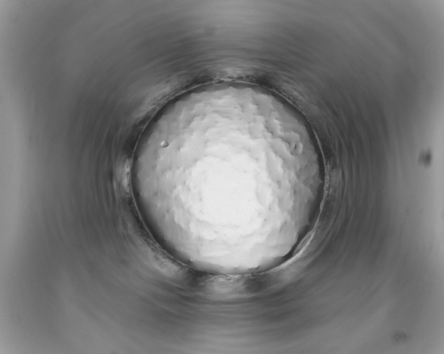 X0000091530094200709141444