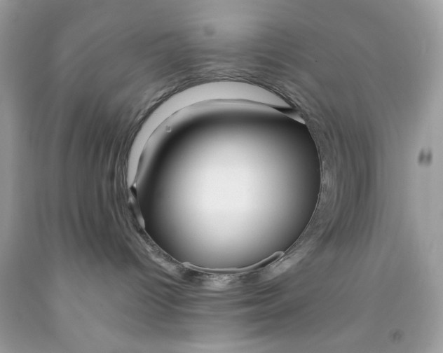 X0000091530096200709141444