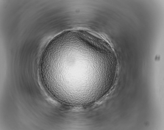 X0000091530097200709141444