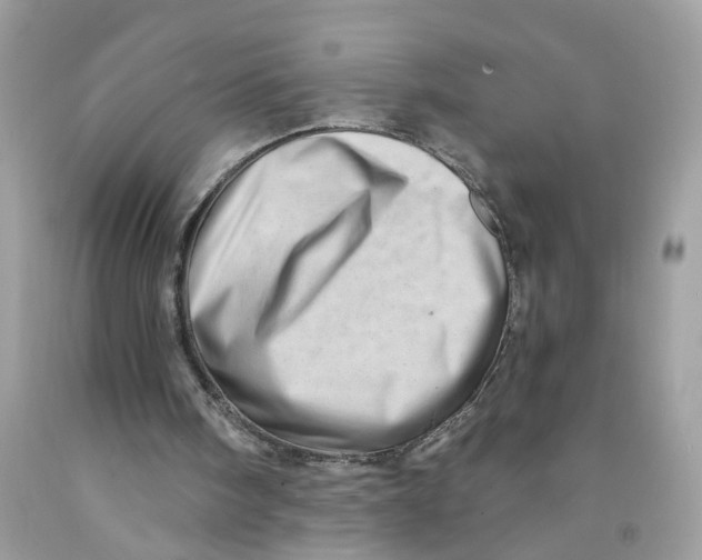 X0000091530098200709141444