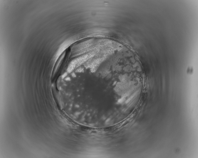 X0000091530099200709141444