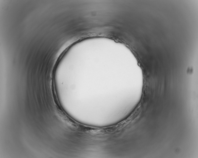 X0000091530100200709141444