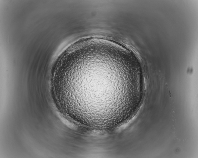 X0000091530101200709141444