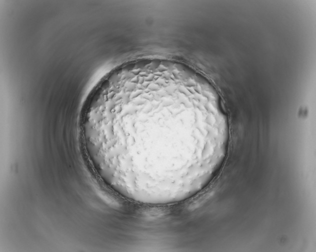 X0000091530102200709141444
