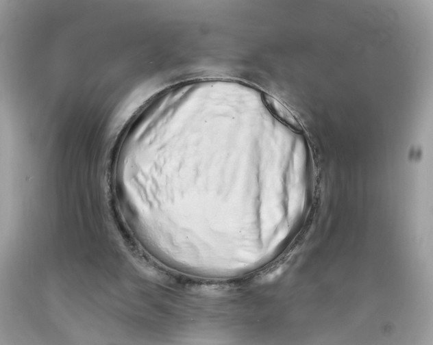 X0000091530103200709141444