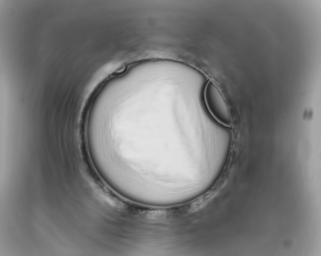 X0000091530104200709141444