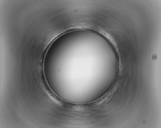 X0000091530105200709141444