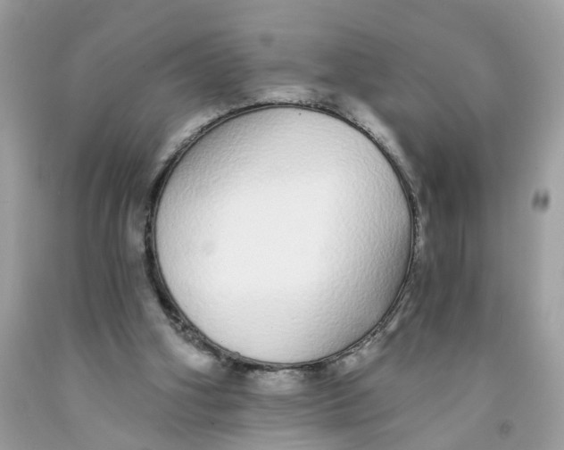 X0000091530106200709141444