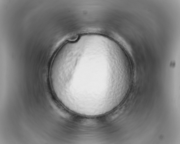 X0000091530107200709141444