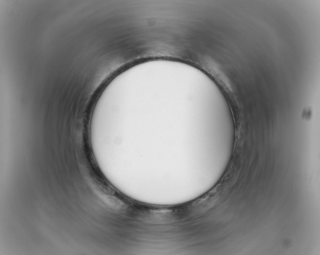 X0000091530108200709141443