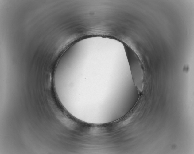X0000091530109200709141443