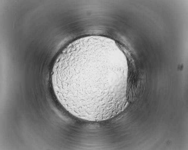 X0000091530110200709141443