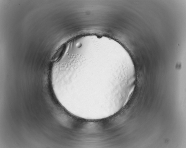 X0000091530111200709141443