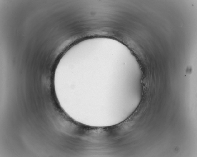 X0000091530112200709141443