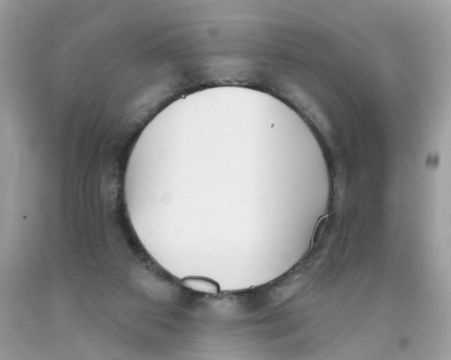 X0000091530113200709141443