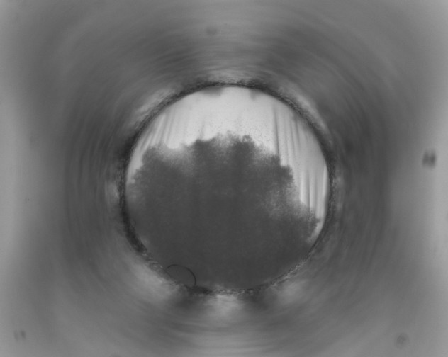 X0000091530114200709141443