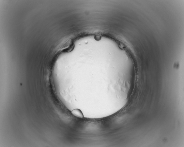 X0000091530115200709141443
