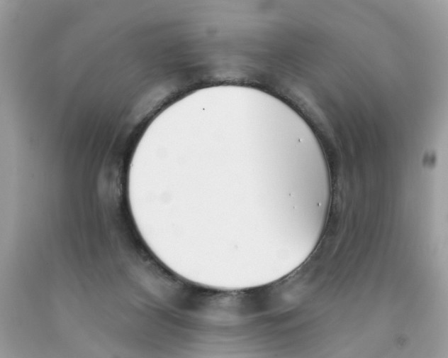 X0000091530116200709141443