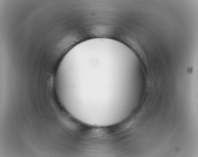 X0000091530117200709141443
